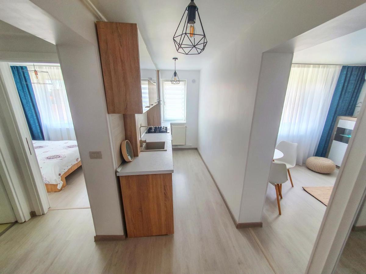 Apartament Delora View Bumbesti-Jiu Εξωτερικό φωτογραφία