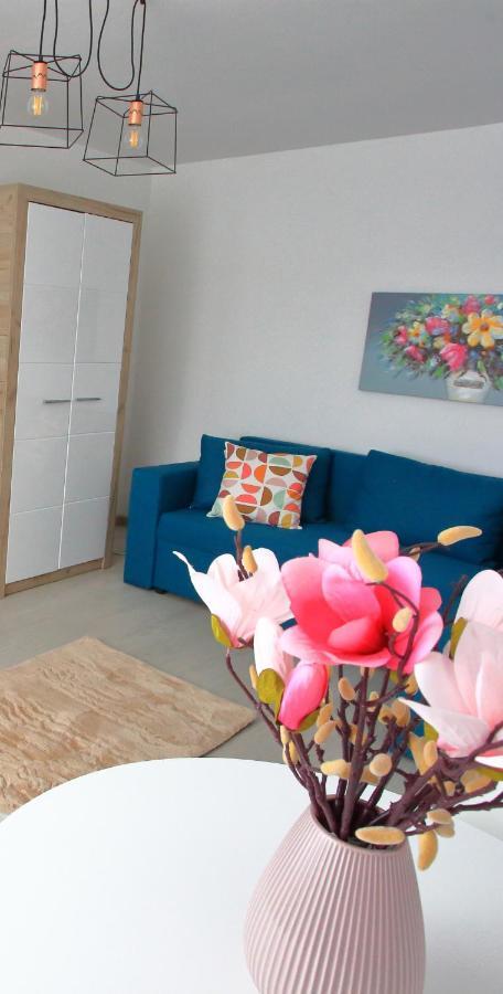 Apartament Delora View Bumbesti-Jiu Εξωτερικό φωτογραφία